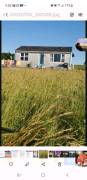 Cottage for rent in Rocky Point Nov. 1 till May 31