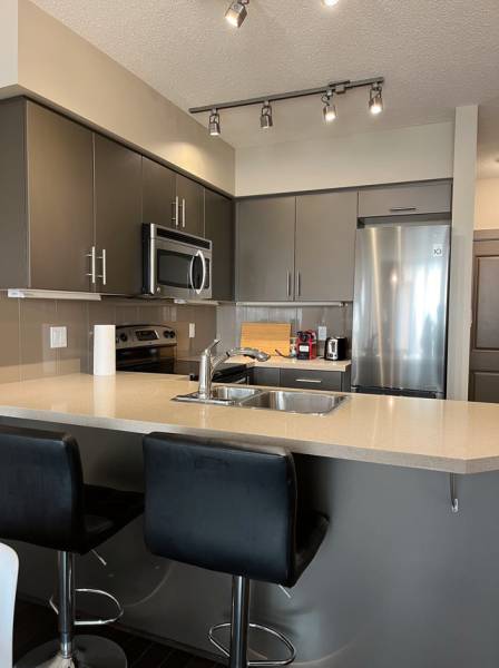 fully furnished 1BR/1BA condominium