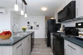 2 Bed 2 Bath Available Nov.1st! | Pet-friendly building!