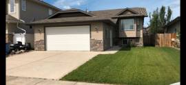 House for Rent