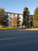 Newly Renovated 1 bedroom units