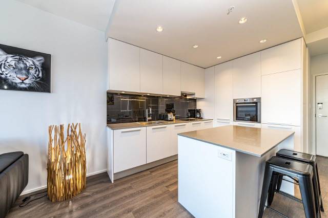 Full apartment- Burnaby-One Bedroom Furnished