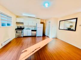Ground Level 3 Bedroom Basement for Rent in Port Coquitlam