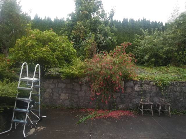 Two spaces available same shared room to start now-Burnaby